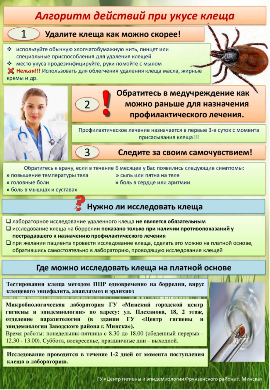 клещи